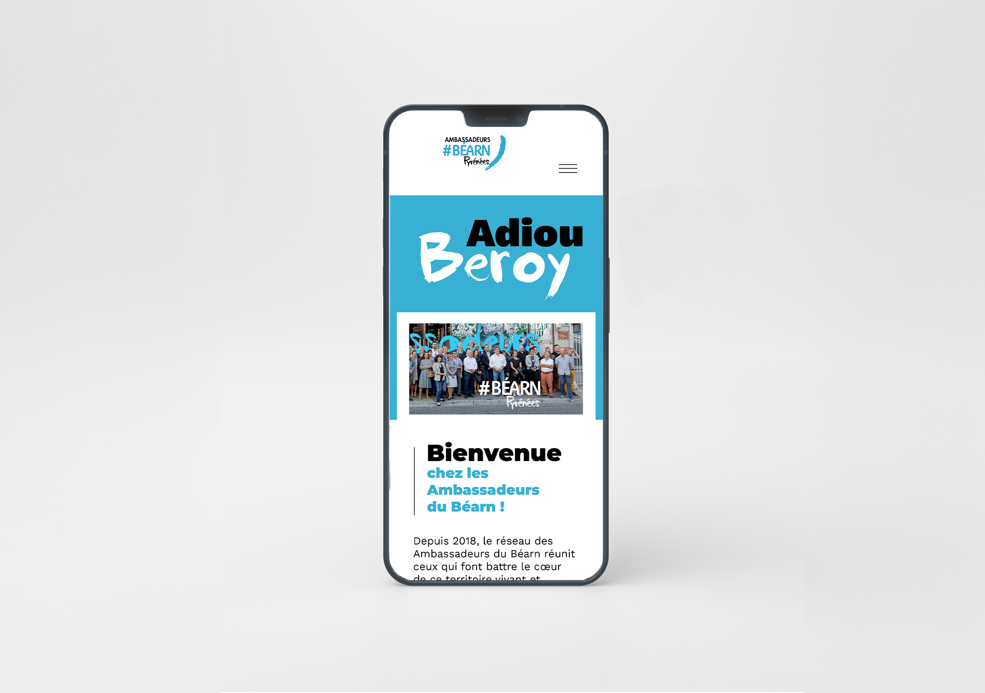 Ambassadeurs du Béarn