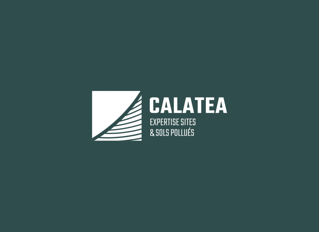 Calatea